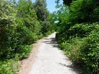 click to zoom - 2.87 MB Palmaria Island - Hiking around the island<br>4320x3240, 2.87 MB