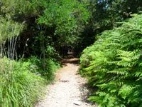 click to zoom - 2.95 MB Palmaria Island - Hiking around the island<br>4320x3240, 2.95 MB