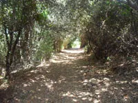 click to zoom - 2.63 MB Palmaria Island - Hiking around the island<br>4320x3240, 2.63 MB