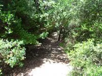 click to zoom - 2.74 MB Palmaria Island - Hiking around the island<br>4320x3240, 2.74 MB