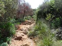 click to zoom - 2.93 MB Palmaria Island - Hiking around the island<br>4320x3240, 2.93 MB