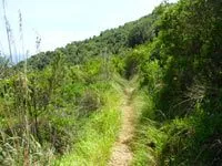 click to zoom - 2.77 MB Palmaria Island - The road towards Pozzale<br>4320x3240, 2.77 MB