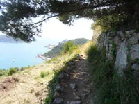 click to zoom - 2.36 MB Palmaria Island - The road towards Pozzale<br>4320x3240, 2.36 MB