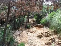 click to zoom - 2.83 MB Palmaria Island - Hiking around the island<br>4320x3240, 2.83 MB