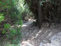 click to zoom - 2.20 MB Palmaria Island - The road towards Pozzale<br>4320x3240, 2.20 MB