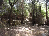 click to zoom - 2.34 MB Palmaria Island - Hiking around the island<br>4320x3240, 2.34 MB